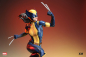 Preview: XM Studios X-23